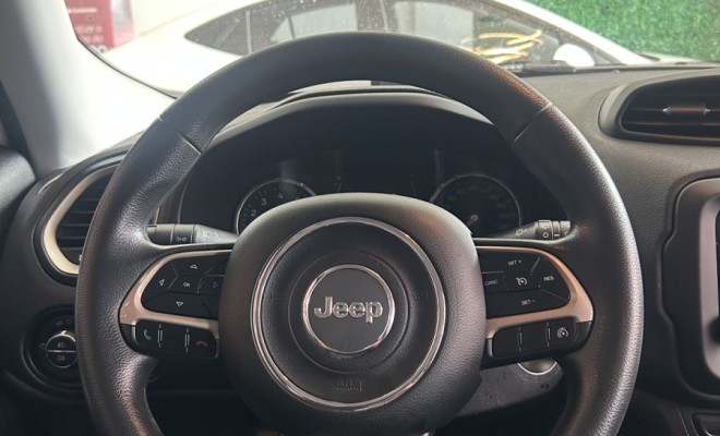 Jeep Renegade Sport 1.8 4x2 Flex 16V Aut. 2016 Flex-10