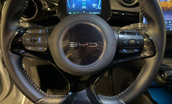 BYD DOLPHIN PLUS 310EV 2025 Elétrico-13