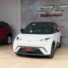 BYD DOLPHIN MINI GS EV 2025 Elétrico-6