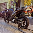 YAMAHA FZ25 250 FAZER FLEX 2024 Flex-1